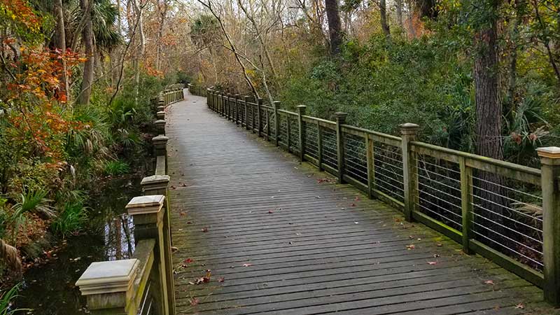 Tropical Pathway Ride Trail Bridge